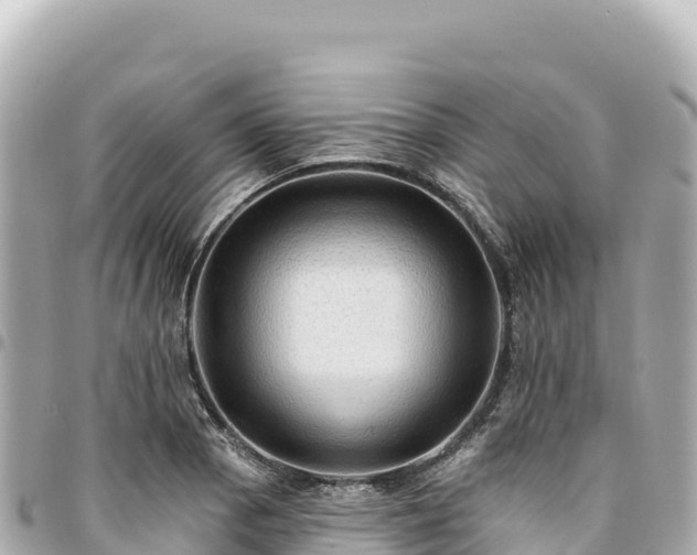 X0000095111129200712141145