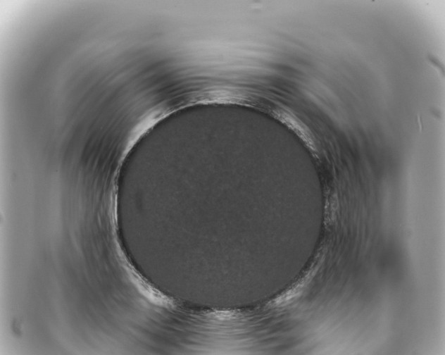 X0000095111130200712141145