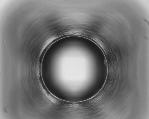 X0000095111131200712141145