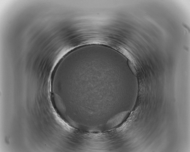 X0000095111132200712141145