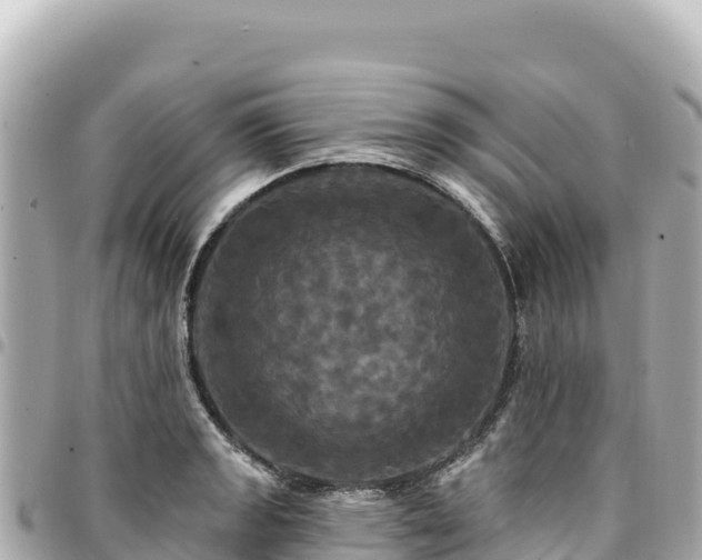 X0000095111133200712141145