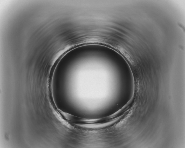 X0000095111134200712141146