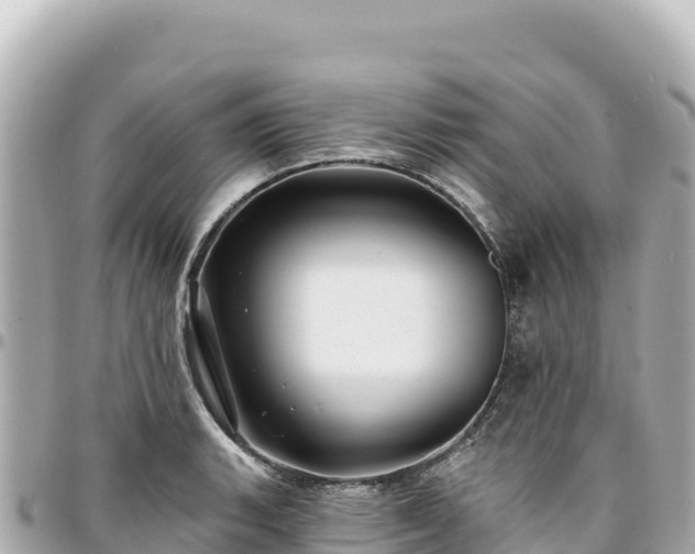 X0000095111135200712141146