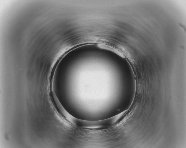 X0000095111136200712141146