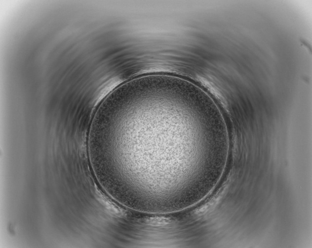 X0000095111137200712141146