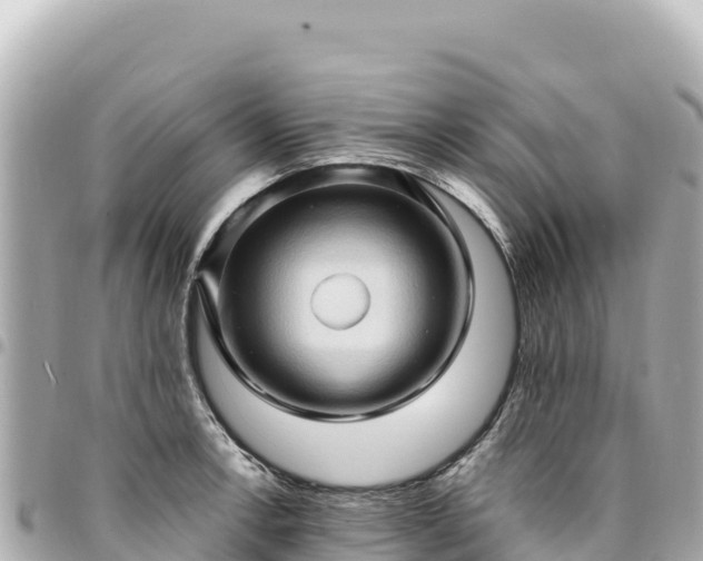 X0000095111138200712141146