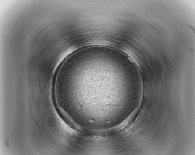 X0000095111139200712141146