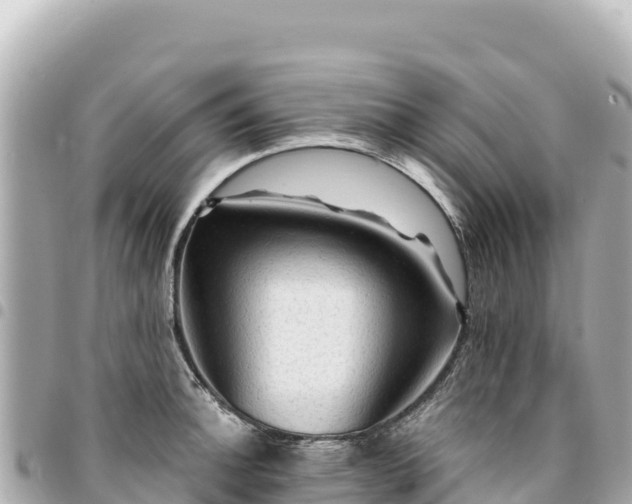 X0000095111140200712141146