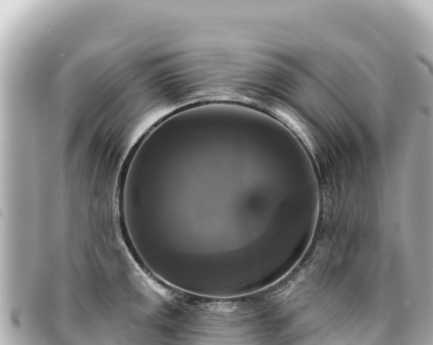 X0000095111141200712141146