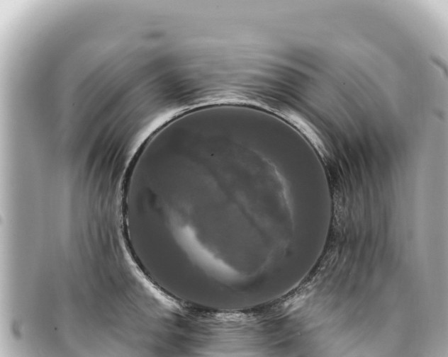 X0000095111142200712141146