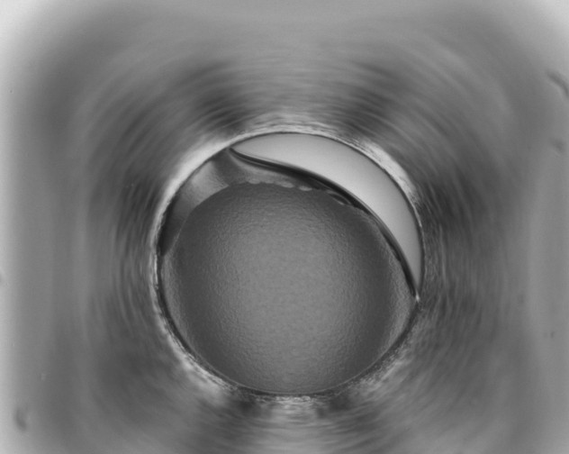 X0000095111144200712141146