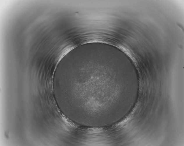 X0000095111145200712141146