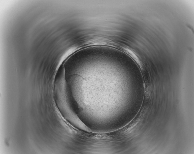 X0000095111146200712141146