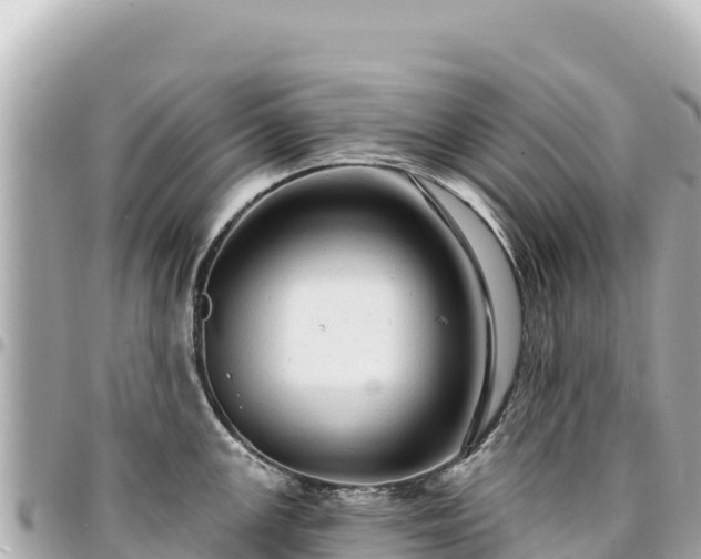 X0000095111147200712141146