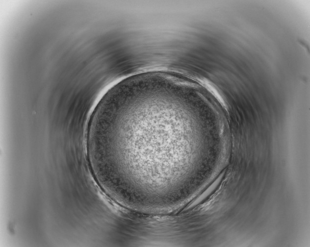 X0000095111148200712141146