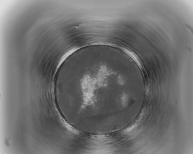 X0000095111149200712141146