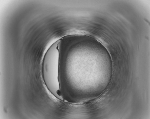 X0000095111152200712141146