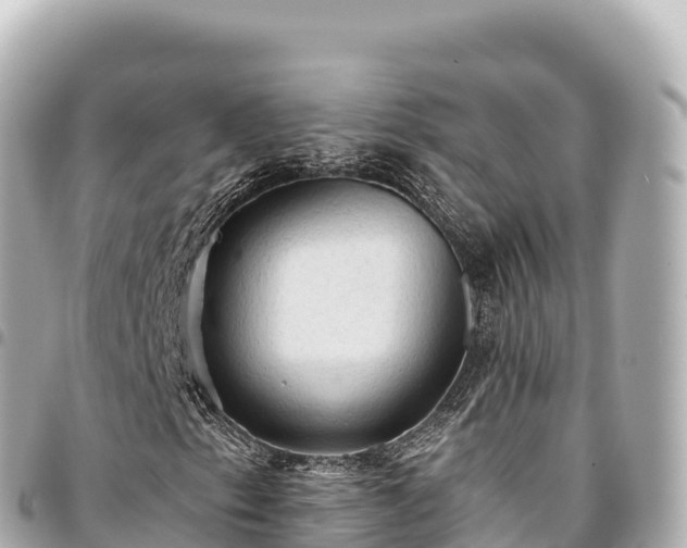 X0000095111153200712141145