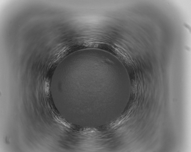 X0000095111154200712141145