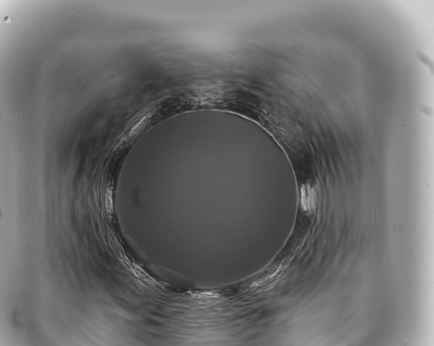 X0000095111155200712141145