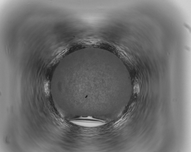 X0000095111156200712141145