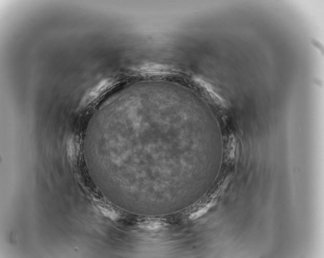 X0000095111157200712141145