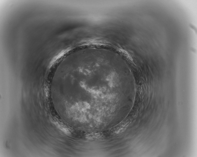 X0000095111159200712141145