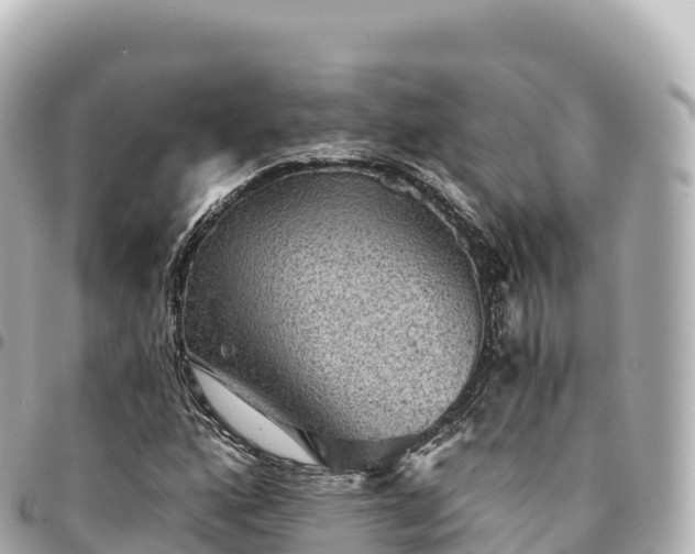 X0000095111160200712141145