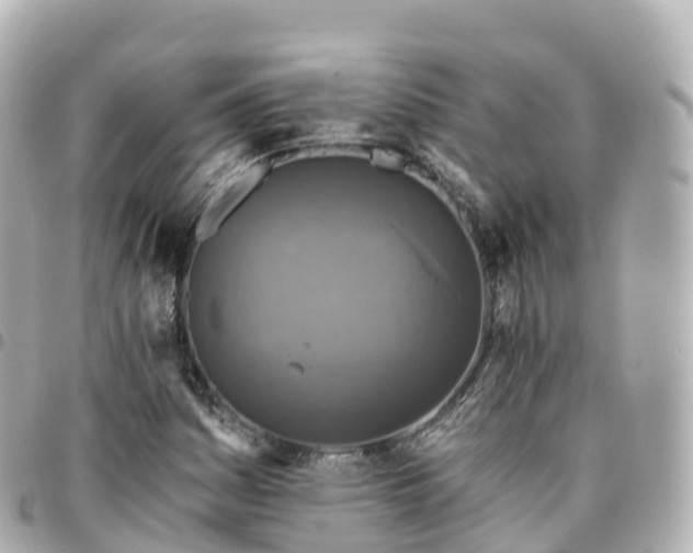 X0000095111161200712141145