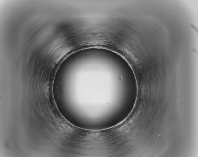 X0000095111162200712141145