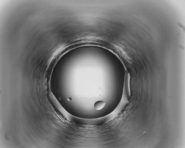 X0000095111164200712141145