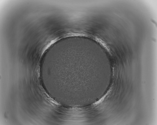 X0000095111165200712141145