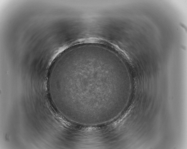 X0000095111166200712141145