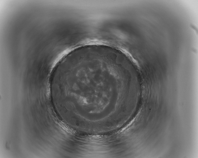 X0000095111167200712141145