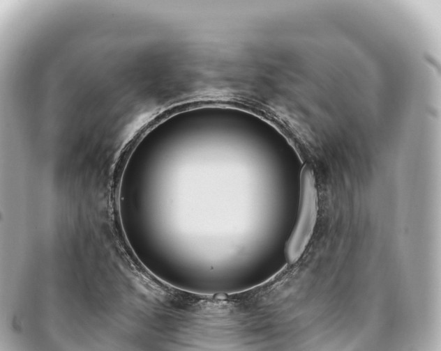 X0000095111168200712141145