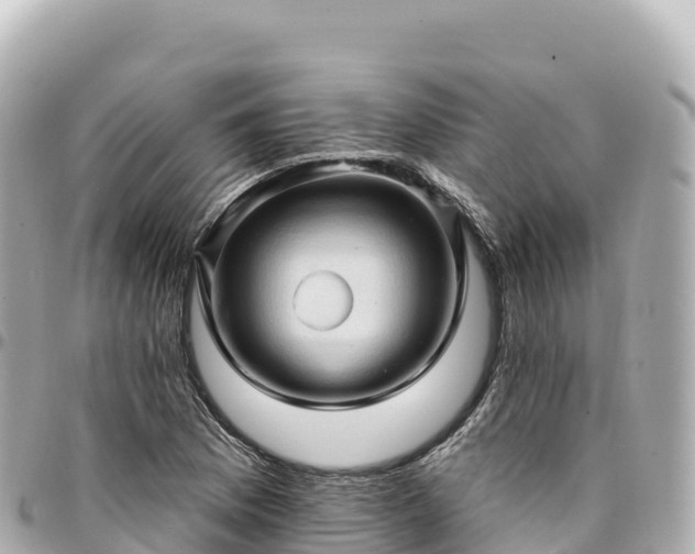 X0000095111169200712141145