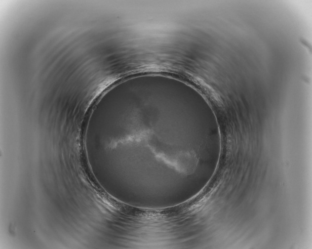 X0000095111170200712141145