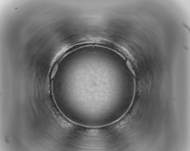 X0000095111172200712141145