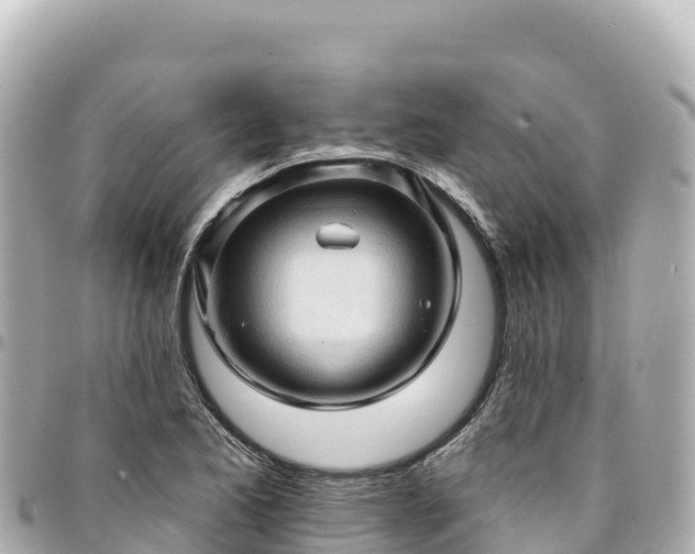 X0000095111173200712141145