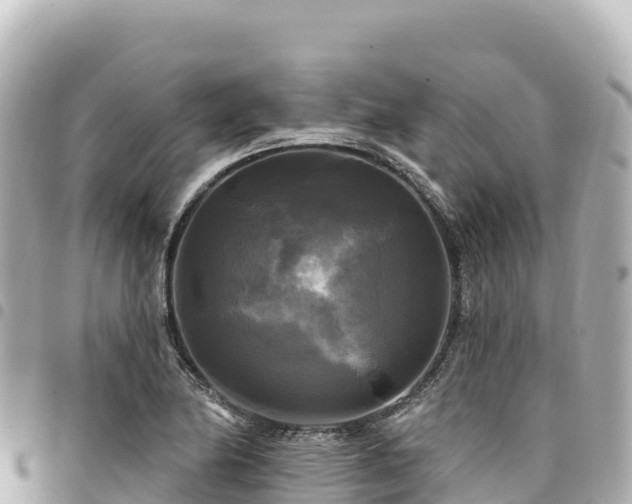 X0000095111174200712141145