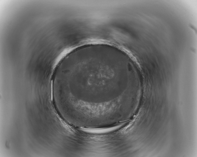 X0000095111175200712141145