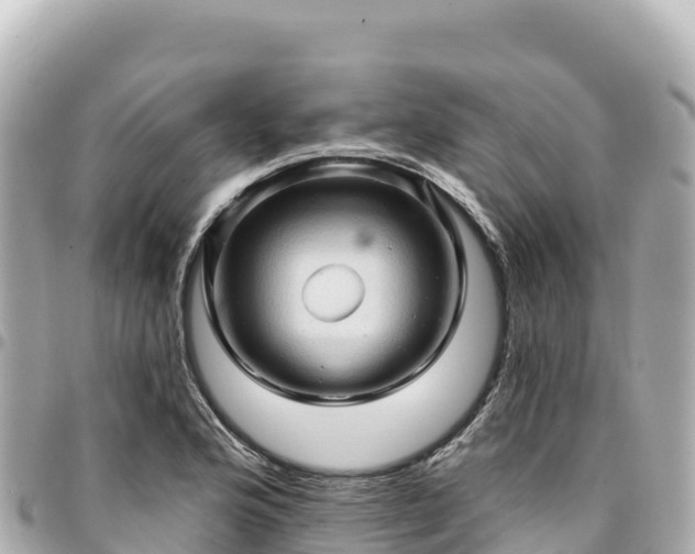 X0000095111176200712141145