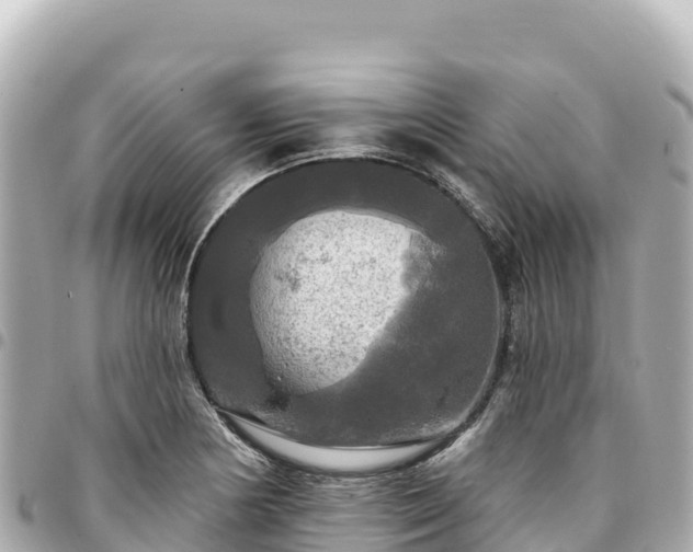 X0000095111178200712141145