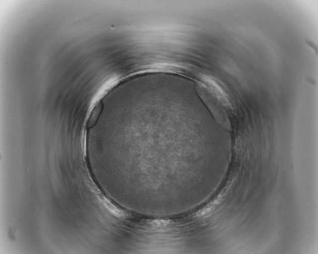 X0000095111180200712141145