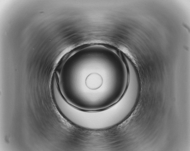 X0000095111181200712141145