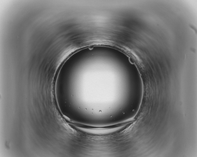 X0000095111182200712141145