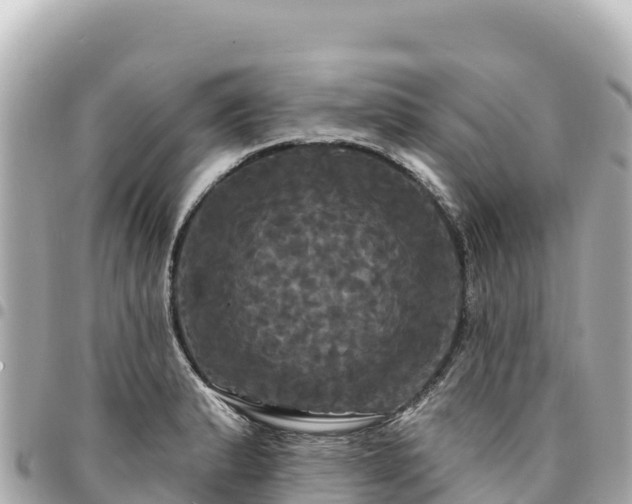 X0000095111183200712141145