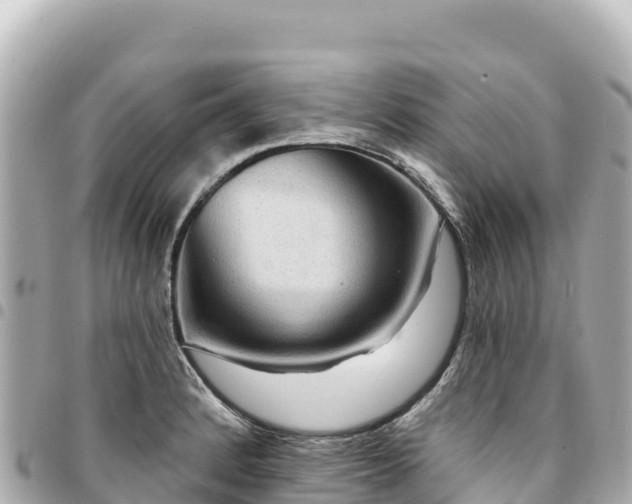 X0000095111184200712141145