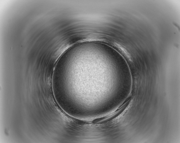 X0000095111185200712141145