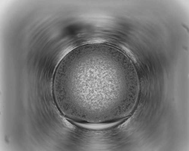 X0000095111186200712141145